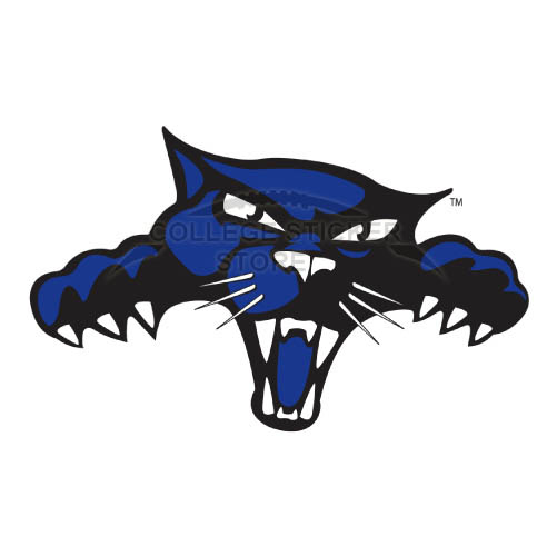 Design High Point Panthers Iron-on Transfers (Wall Stickers)NO.4546